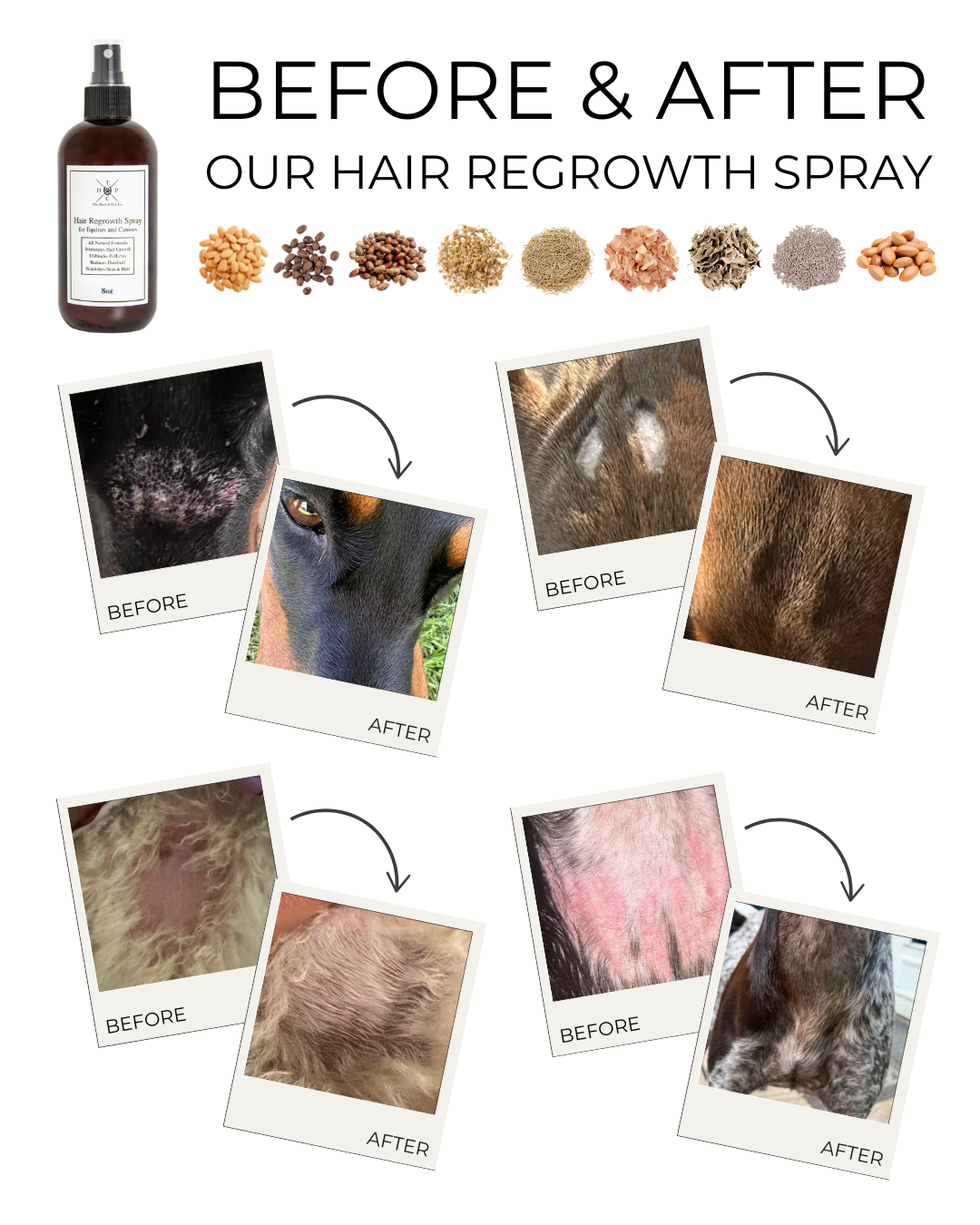 Hair Regrowth Spray for Dogs & Horses The Hoof & Paw Co.
