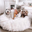 PupCloud™ Human-Size Faux Fur Memory Foam Dog Bed - White with Brown Accents Paw