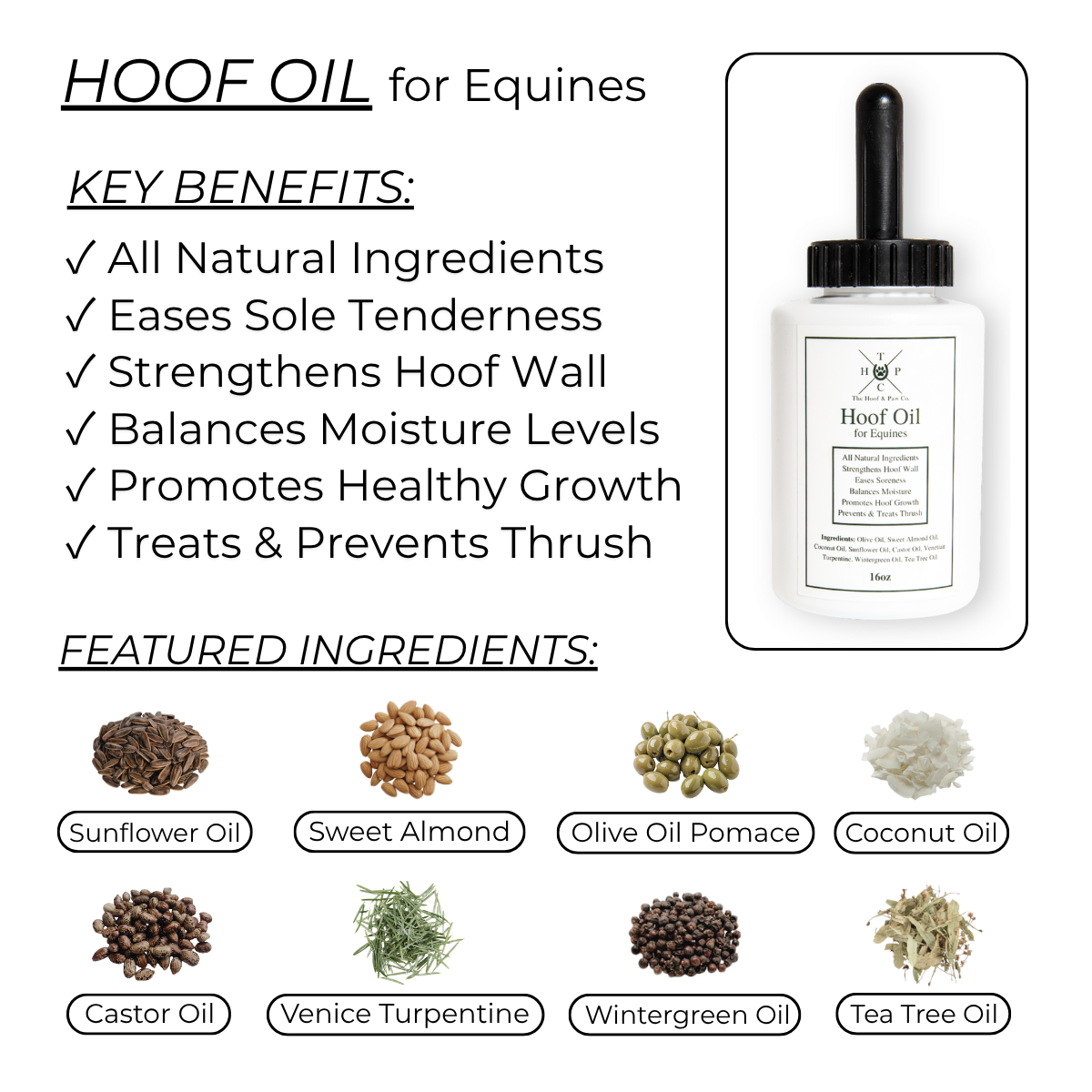The Equine Performance Pack The Hoof & Paw Co.