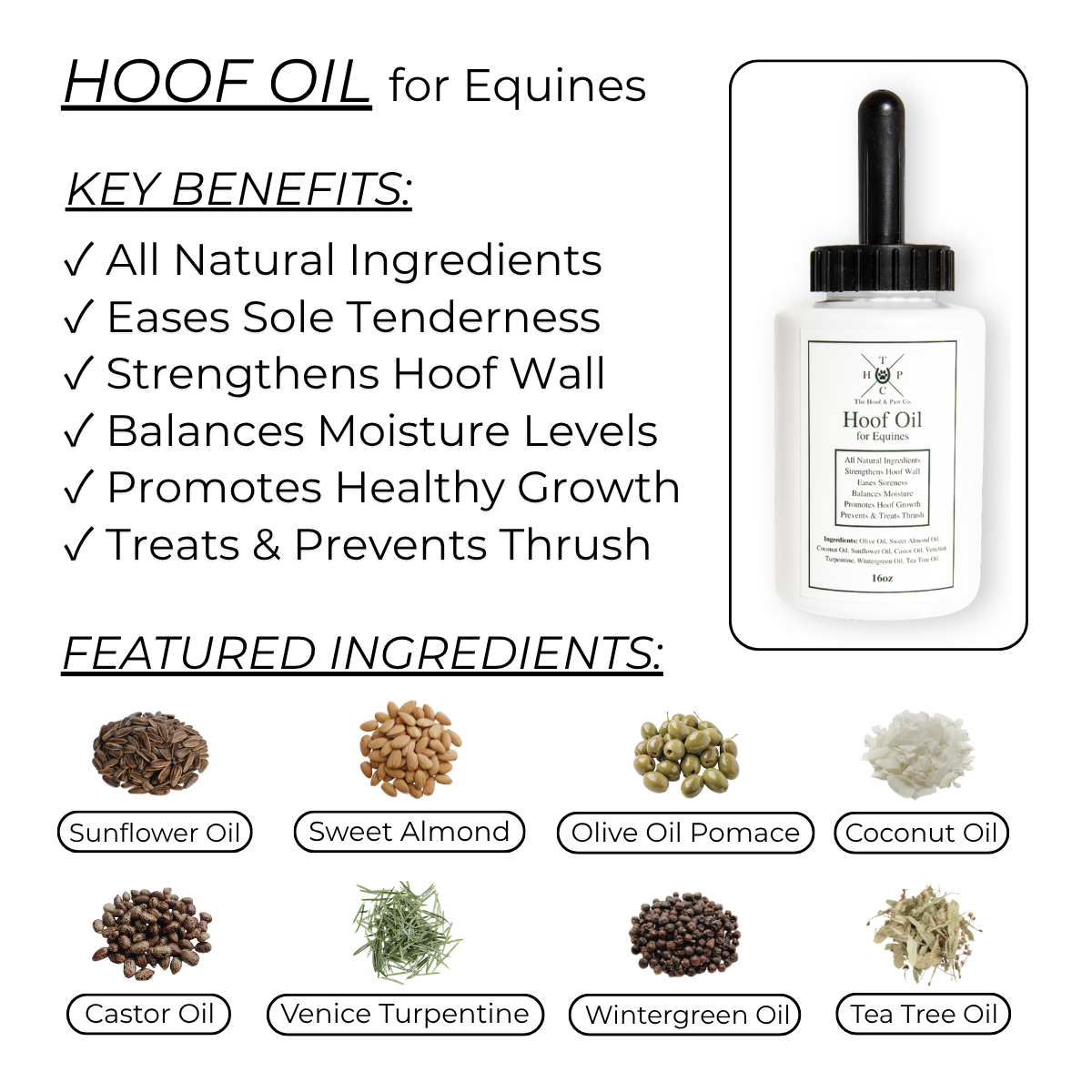 Hoof Oil for Horses The Hoof & Paw Co.