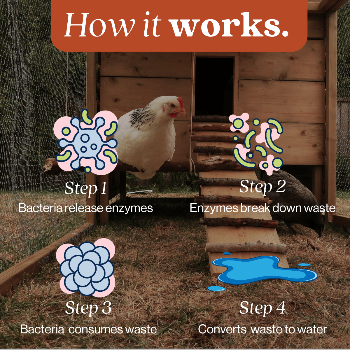 Chicken Coop Odor Eliminator Pet & Animal > Chicken Coop Odor EcoStrong