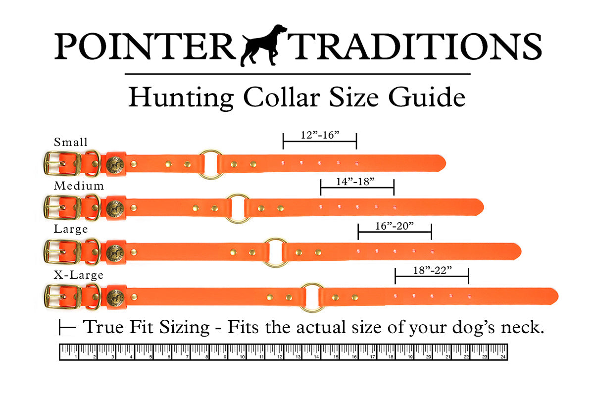 Hunting Dog Center Ring Collar - Coral Dog Supplies Pointer Traditions