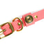 Hunting Dog Center Ring Collar - Coral Dog Supplies Pointer Traditions