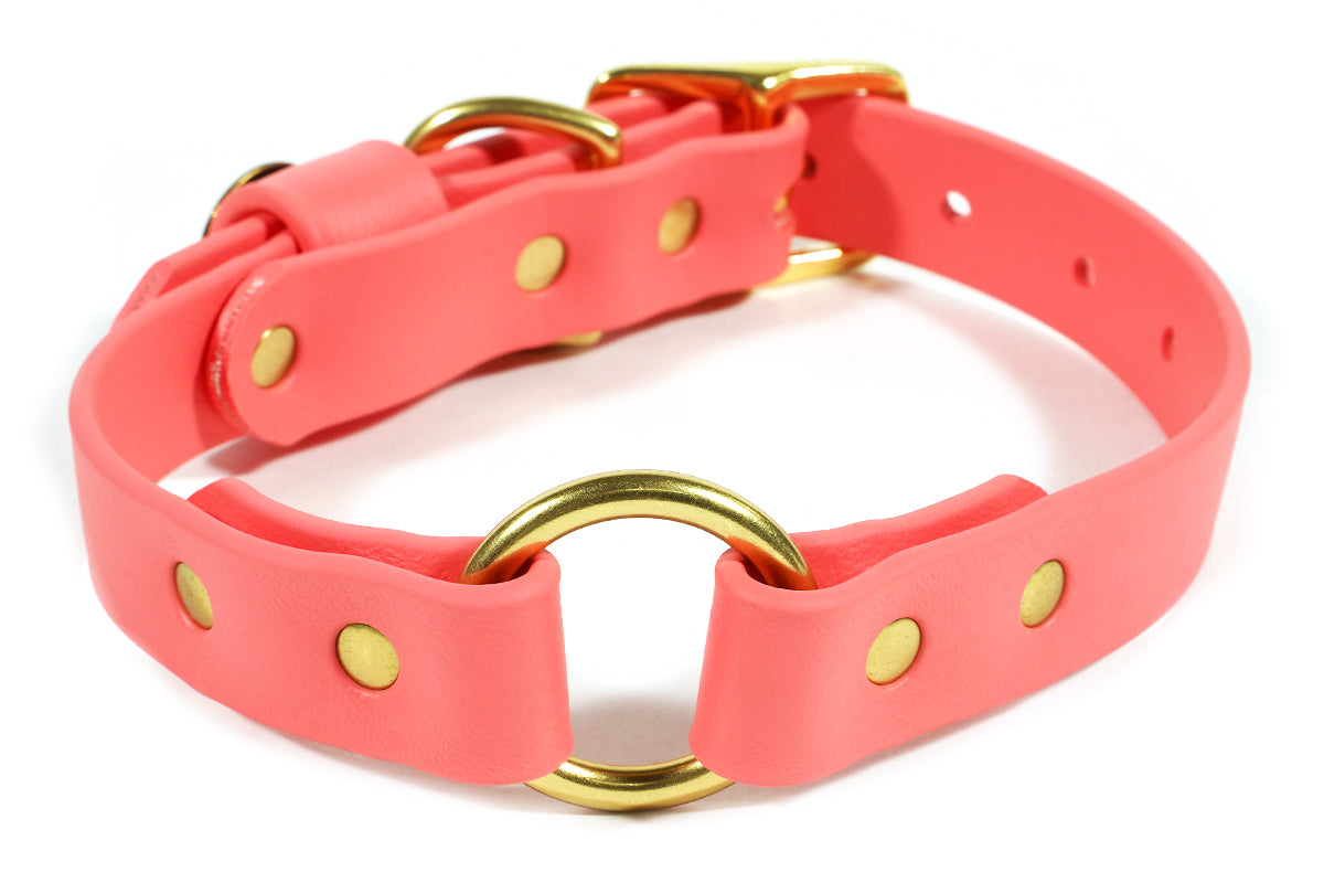 Hunting Dog Center Ring Collar - Coral Dog Supplies Pointer Traditions