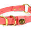 Hunting Dog Center Ring Collar - Coral Dog Supplies Pointer Traditions