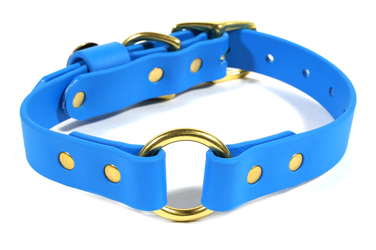 Hunting Dog Center Ring Collar - Sky Blue Dog Supplies Pointer Traditions