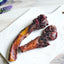 Beef Pizzle (Sticks, Loops, Short) - Limited Edition 8-10oz (Large) Naked Beasts