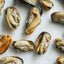 Green Lipped Mussels Naked Beasts