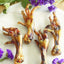 Chicken Feet Naked Beasts