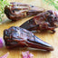 Duck Heads (ABF) Naked Beasts