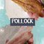 Pollock - (Wild Caught) Naked Beasts