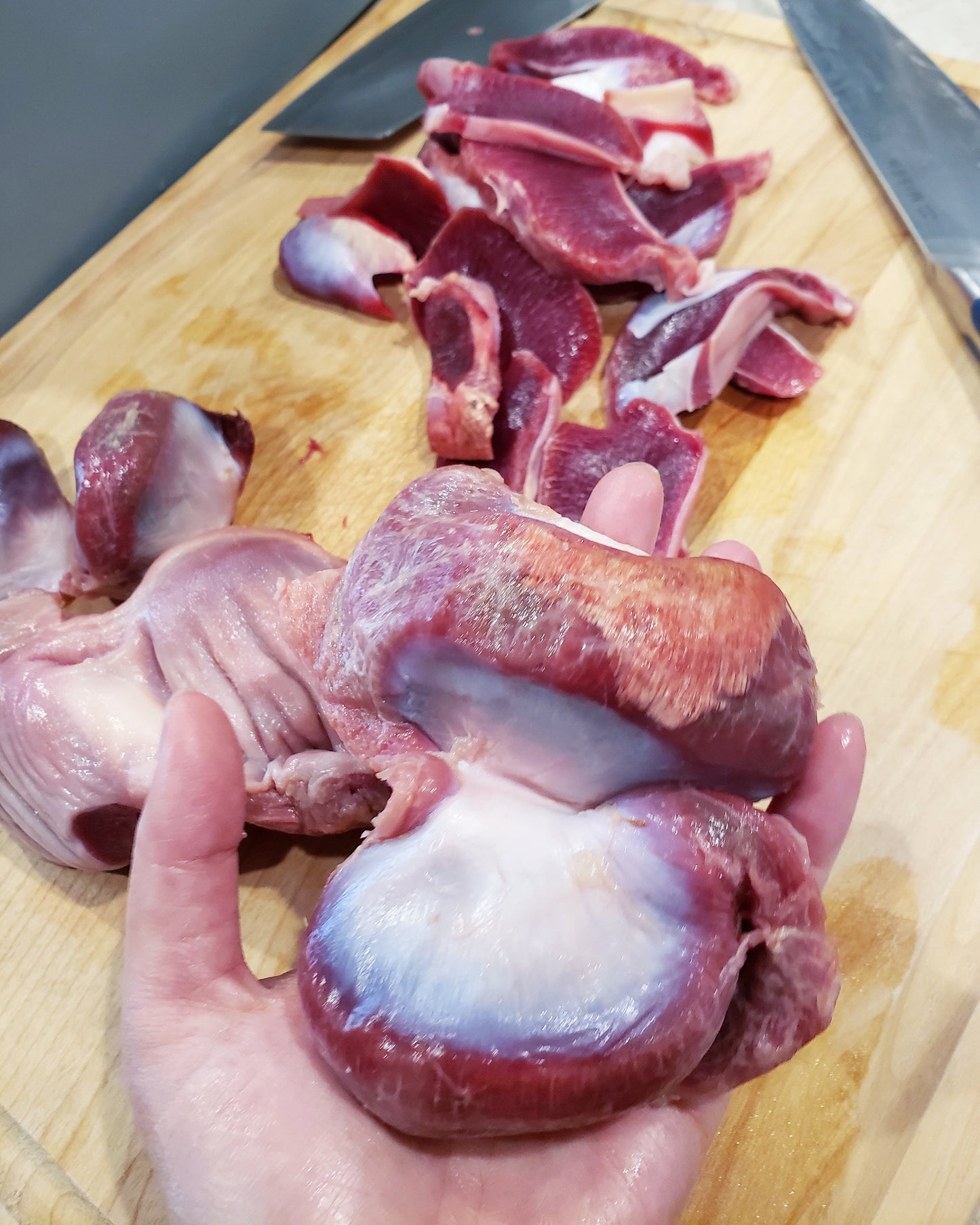 Turkey Gizzard (ABF) - Thin Cut Naked Beasts