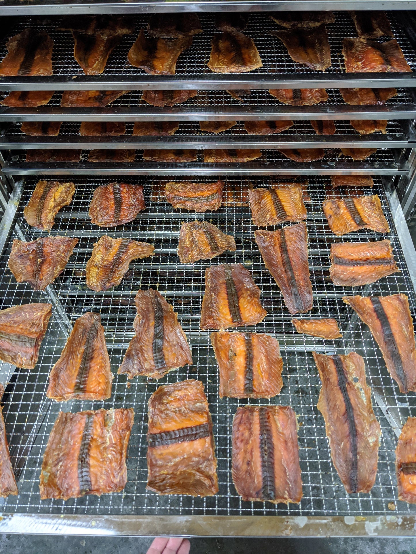 Salmon Fillet Naked Beasts