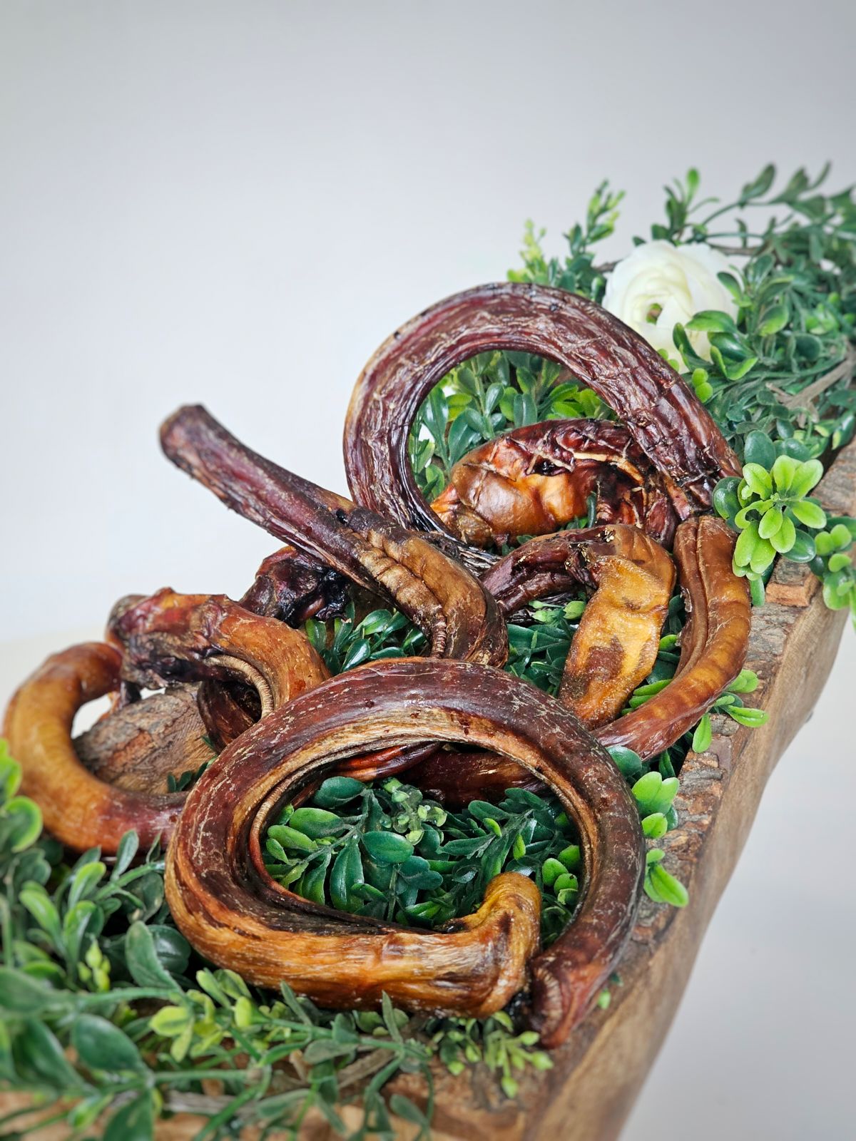 Beef Pizzle (Sticks, Loops, Short) - Limited Edition 8-10oz (Loops) Naked Beasts