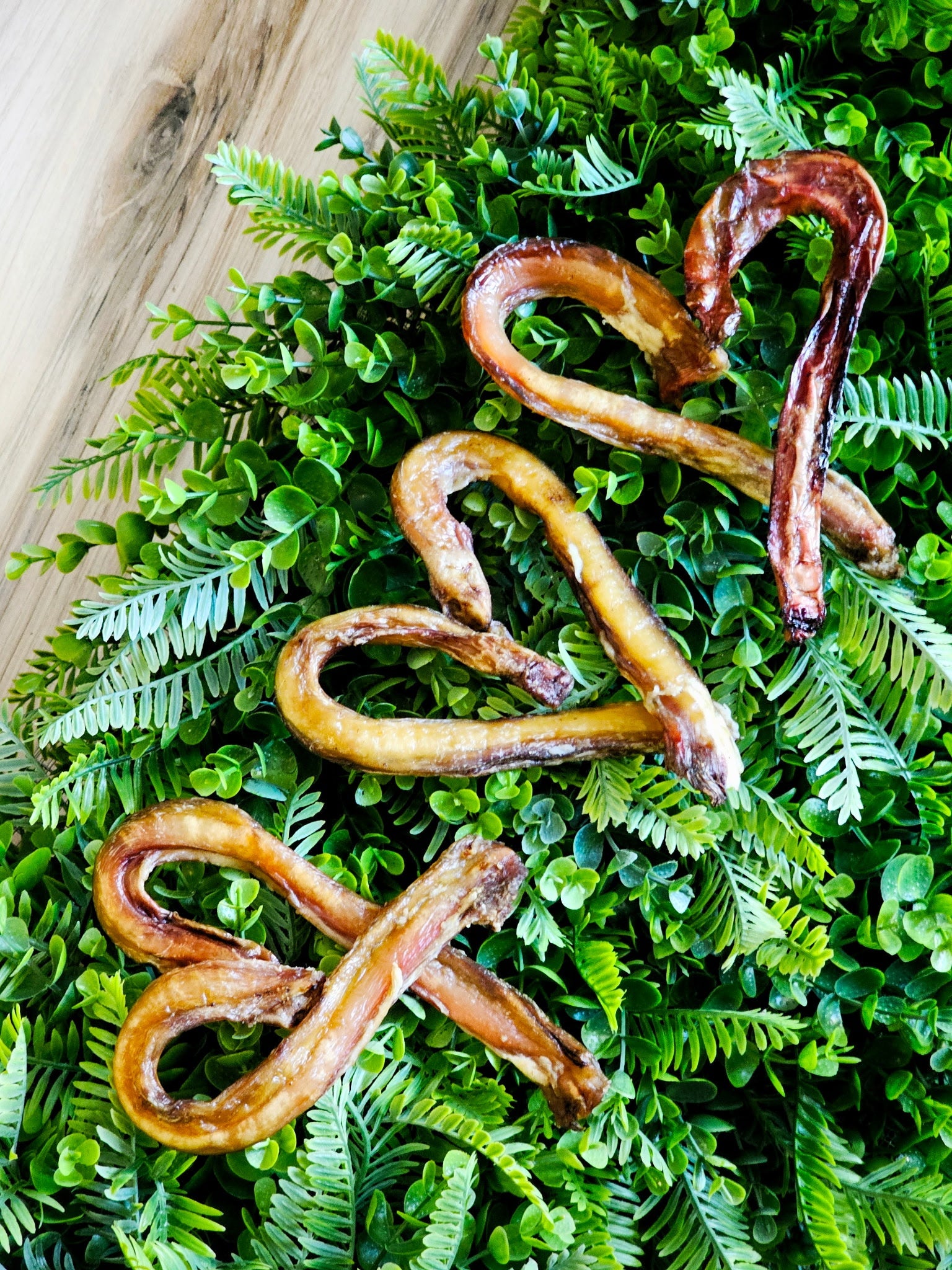 Beef Pizzle (Sticks, Loops, Short) - Limited Edition 8-10oz (Canes) Naked Beasts