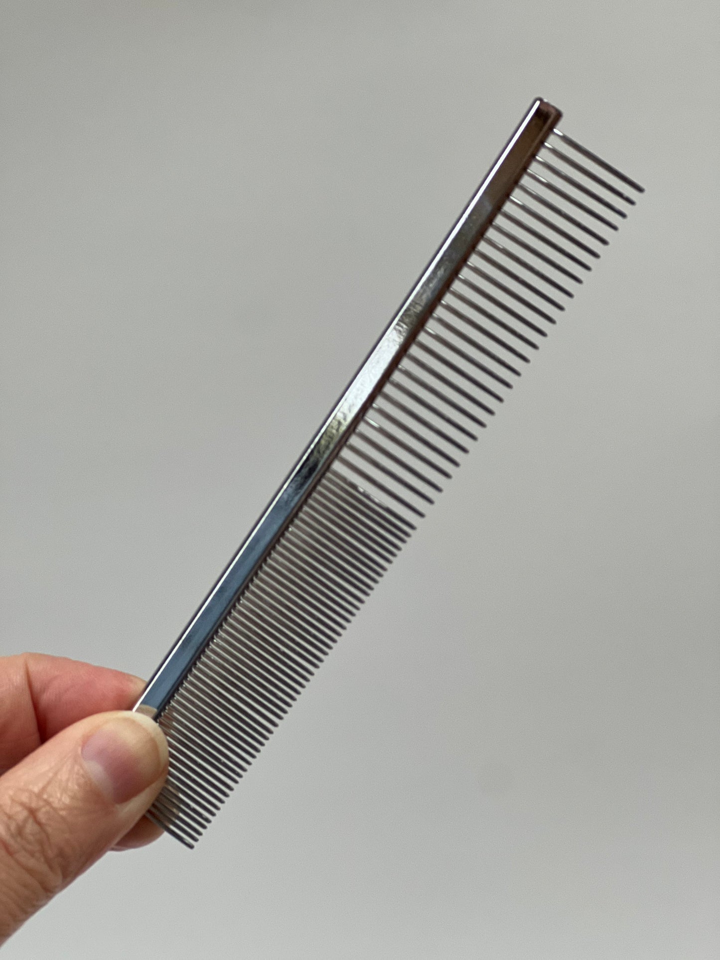 Short-haired cat comb Grooming The Charleston Cat Groomer
