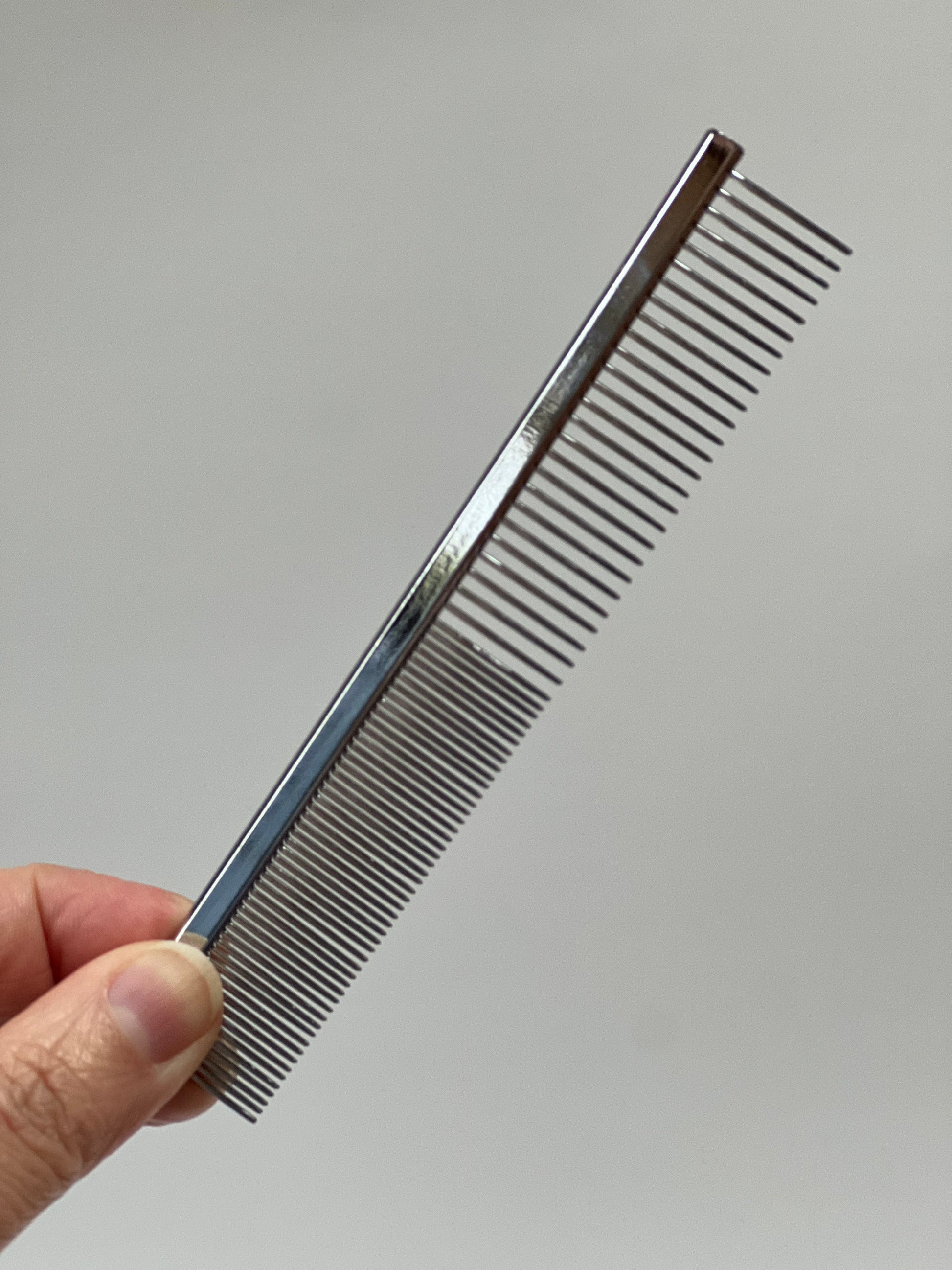 Short-haired cat comb Grooming The Charleston Cat Groomer