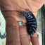 Chindongo demasoni Demasoni Cichlid AFRICAN CICHLIDS Danaqua Live Fish & More