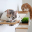 The Bunker - Multi Level Cat Tree with Perch Cat Condo Catastrophic Creations