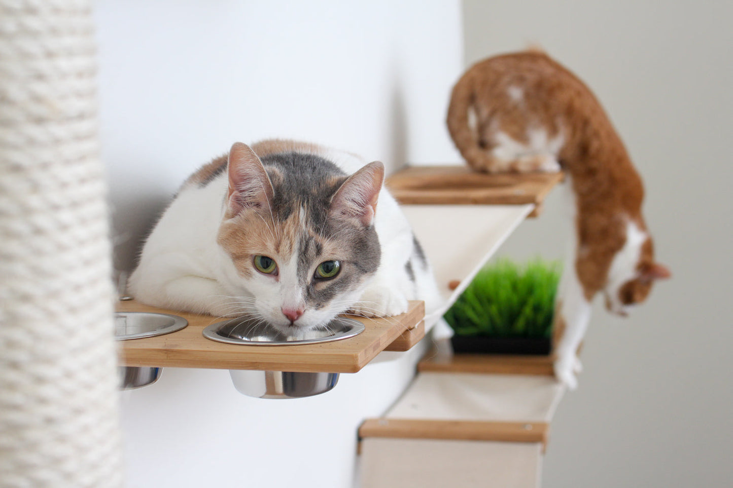 The Bunker - Multi Level Cat Tree with Perch Cat Condo Catastrophic Creations