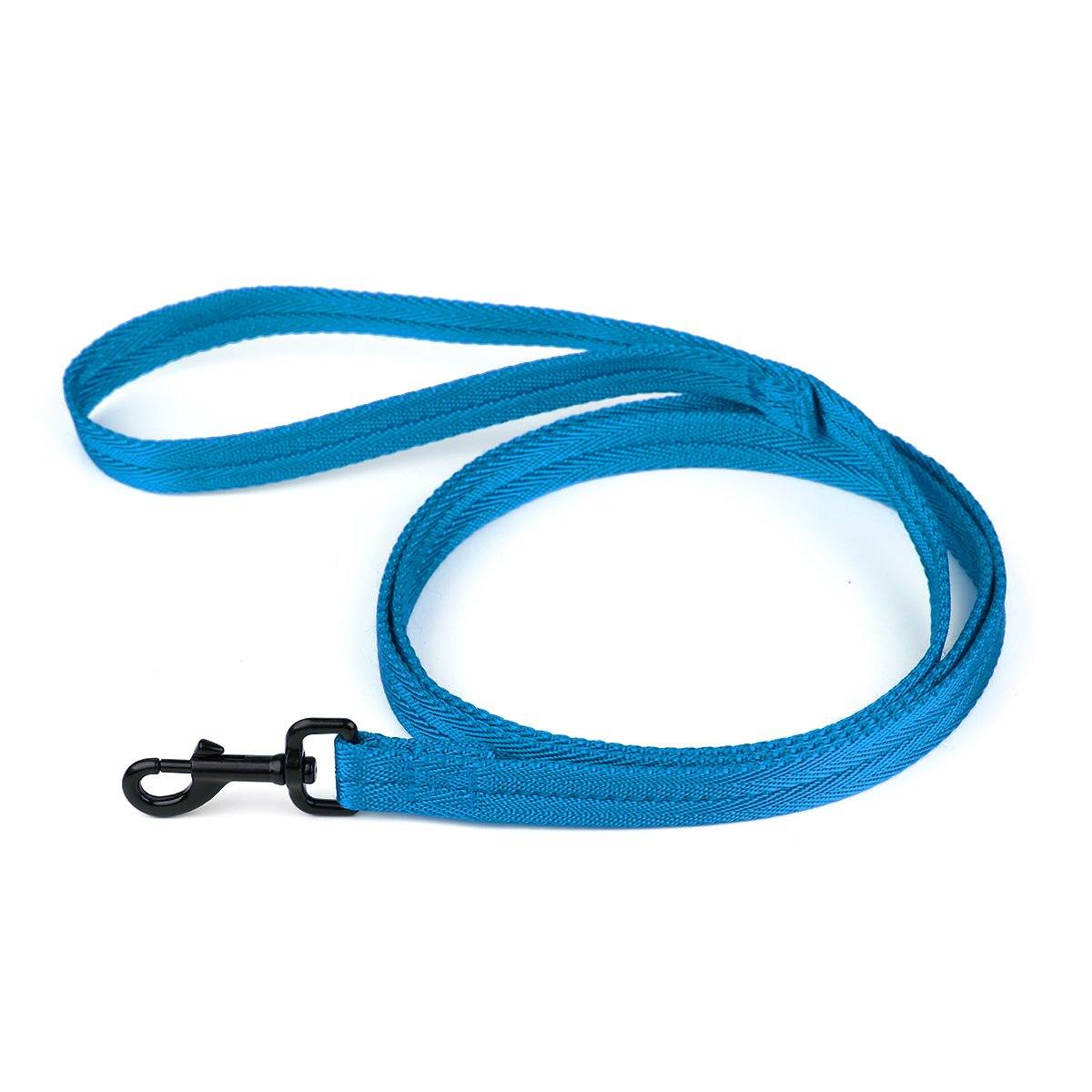 Nylon Flat Dog Leash Cyan 5 8" Dog Leashes Dogline