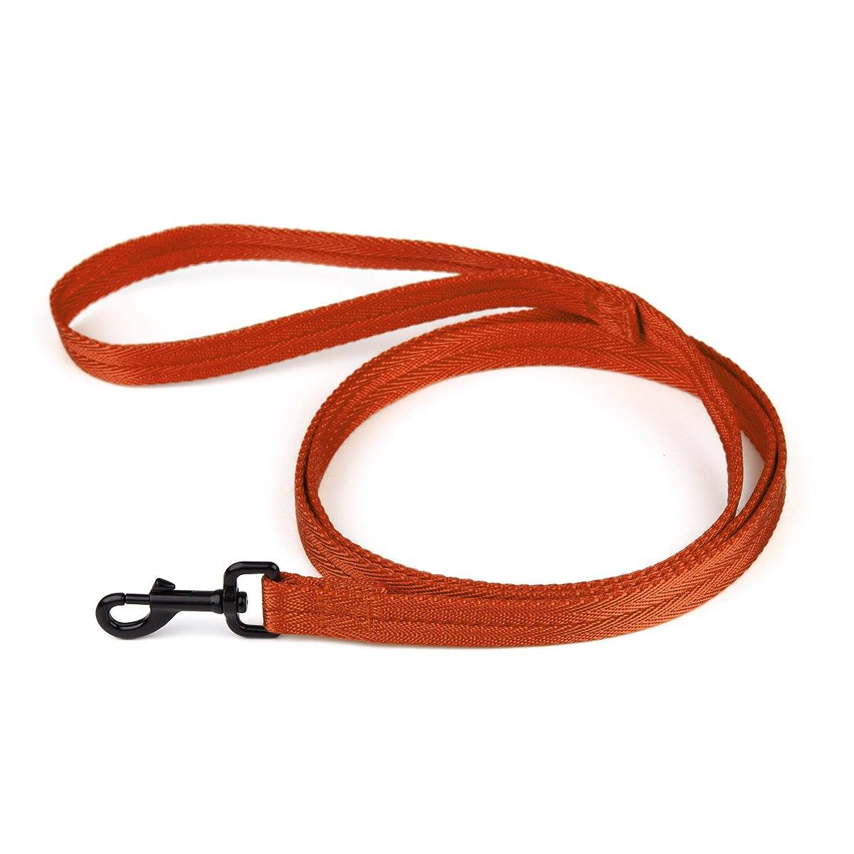 Nylon Flat Dog Leash Orange 5 8" Dog Leashes Dogline