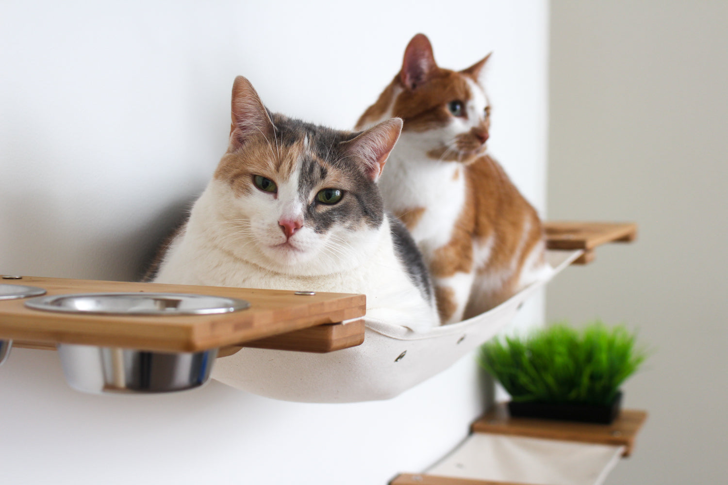 The Bunker - Multi Level Cat Tree with Perch Cat Condo Catastrophic Creations