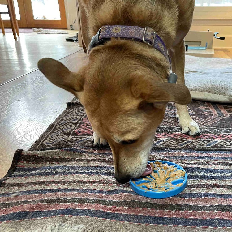 Air Nylon eCoin Lick Mat for Dogs - Durable Enrichment Toy | SodaPup ECOIN SodaPup/True Dogs, LLC