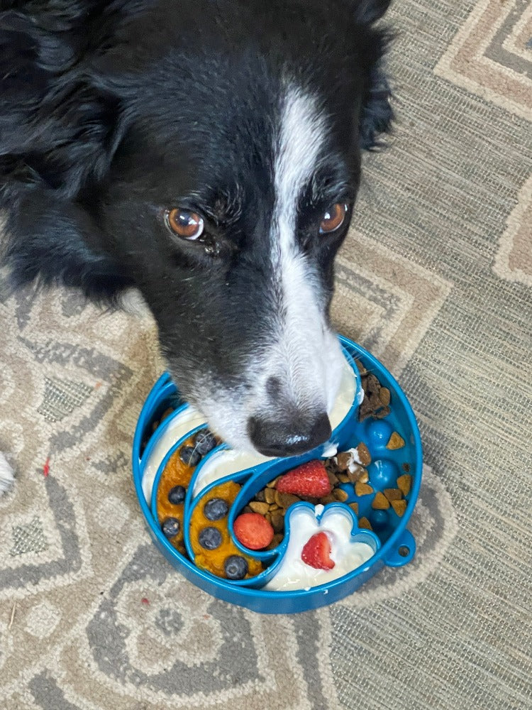 Wave eBowl Deep Slow Feeder Dog Bowl for Enrichment | Made in USA EBOWL SodaPup/True Dogs, LLC