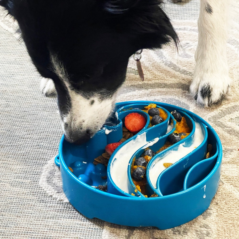 Wave eBowl Deep Slow Feeder Dog Bowl for Enrichment | Made in USA EBOWL SodaPup/True Dogs, LLC