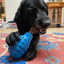 Unstoppables Chewers for SodaPup Rubber Treat Dispensers - 3 Pack Nylon Dog Toys SodaPup/True Dogs, LLC
