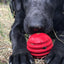 USA-K9 Stars and Stripes Rubber Dog Toy | K9 Handler Reward Toy | Red | USA Made Rubber Dog Toys SodaPup/True Dogs, LLC