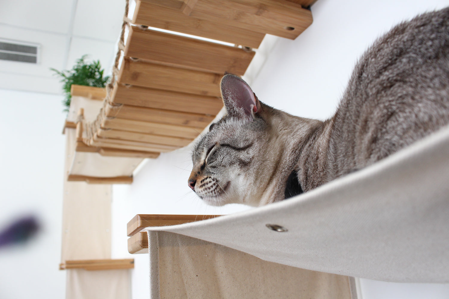The Temple - Giant Cat Tree on Wall Cat Condo Catastrophic Creations