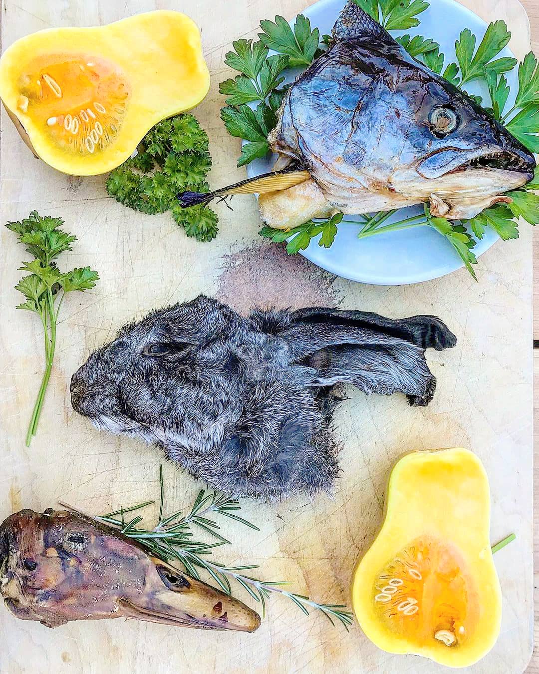 Duck Heads (ABF) Naked Beasts