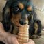Beef Trachea (Grass Fed & Finished) Naked Beasts