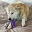 Fish Bone Nylon Dog Toy for Aggressive Chewers | USA Made | SodaPup Nylon Dog Toys SodaPup/True Dogs, LLC