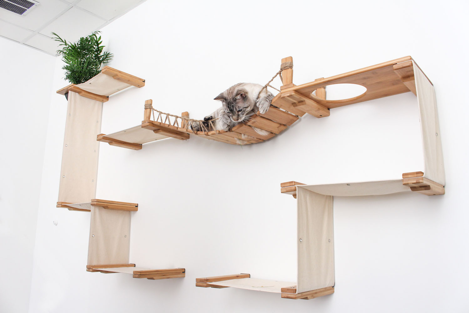The Temple - Giant Cat Tree on Wall Cat Condo Catastrophic Creations