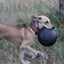 Magnum Bottle Top Flyer Rubber Frisbee for Heavy Chewers | Large | USA Made Rubber Dog Toys SodaPup/True Dogs, LLC