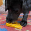 Swiss Cheese Wedge Nylon Dog Chew Toy for Aggressive Chewers | SodaPup Nylon Dog Toys SodaPup/True Dogs, LLC