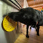 Rubber Duckies emat - Enrichment Lick Mat for Dogs and Cats - with Suction Cups | Bath Time Design | SodaPup USA Made EMAT SodaPup/True Dogs, LLC
