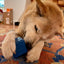 Love Cube eDispenser - Durable Rubber Chew Toy & Treat Dispenser | USA Made Rubber Dog Toys SodaPup/True Dogs, LLC