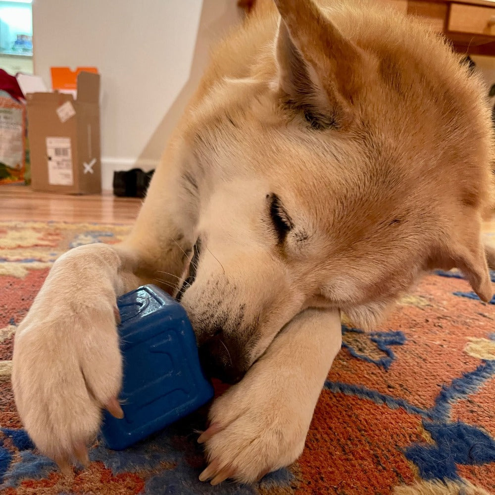 Love Cube eDispenser - Durable Rubber Chew Toy & Treat Dispenser | USA Made Rubber Dog Toys SodaPup/True Dogs, LLC