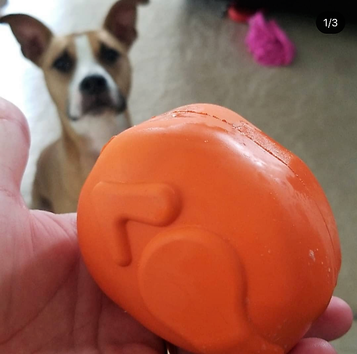 Roasted Turkey Dog Chew Toy & Treat Dispenser - USA Made | SodaPup Rubber Dog Toys SodaPup/True Dogs, LLC