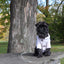 Brooklyn Cashmere Cardigan—NYC Designer Original Sweaters BESPOKE PAWS