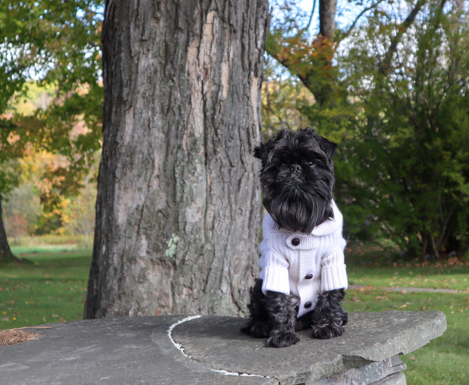 Brooklyn Cashmere Cardigan—NYC Designer Original Sweaters BESPOKE PAWS