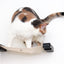 The Play - A Cat Play Wall System Cat Condo Catastrophic Creations