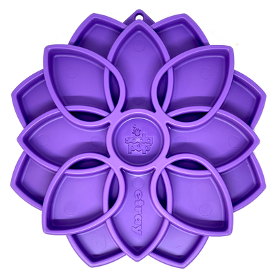 Mandala eTray Shallow Slow Feeder Dog Bowl for Enrichment | USA Made