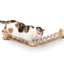 Cat Bridge for Wall Cat Bridge Catastrophic Creations