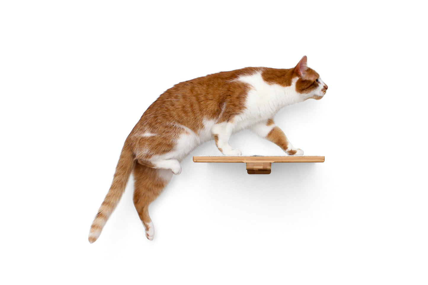Cat Perch - Wall Mounted and Wooden Cat shelves/bed Catastrophic Creations