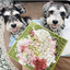 Jigsaw Puzzle eMat - Enrichment Lick Mat for Dogs and Cats | eMat Enrichment Toy for Anxiety Relief | USA Made EMAT SodaPup/True Dogs, LLC